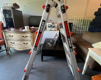 Little Giant Ladder