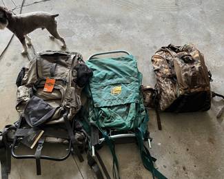 Hiking Packs