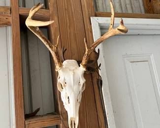 Euro Mount