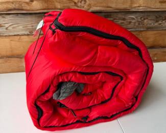 21 HeavyWeightColemanSleepingBag