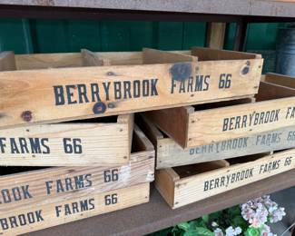 Berry boxes