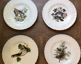 Plates by Alfred Meakin with images from Audubon’s “Birds of America” (we have 8 total)