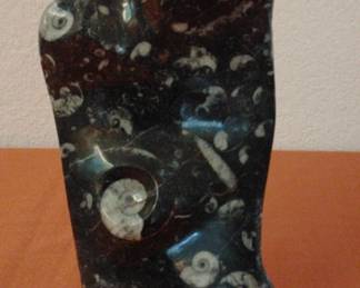 Sea Fossil