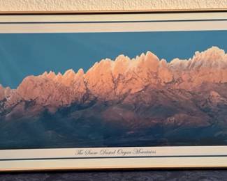 Organ Mountains