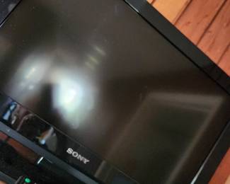 21" Sony TV.