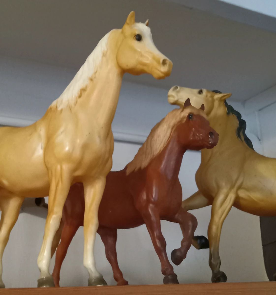 Bryer Horses