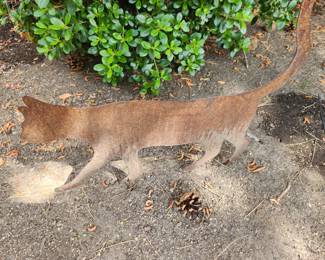 Meow! Metal Cat.