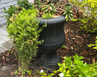 Large black planter