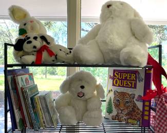 STUFFED ANIMALS, CHILDREN’S BOOKS