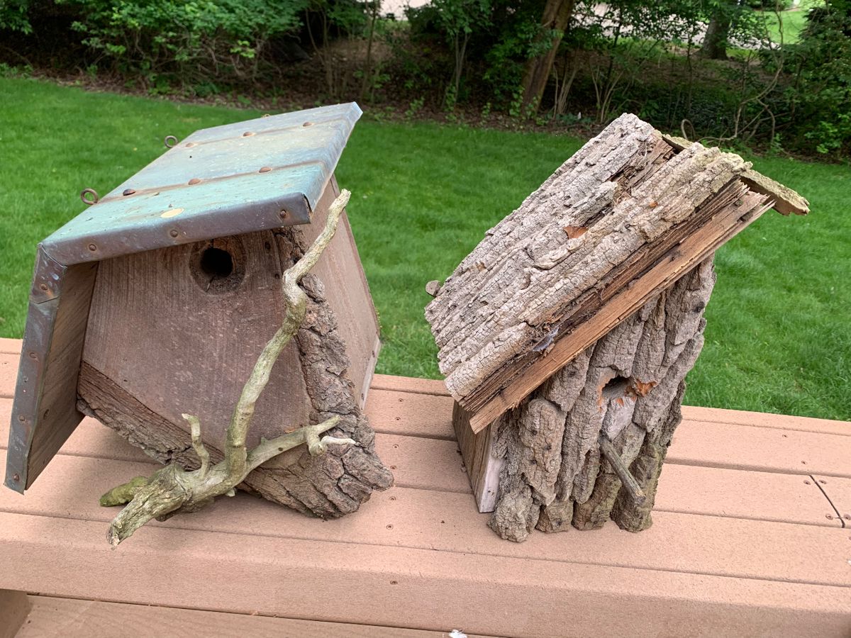 bird houses, shepherd hooks, bird food and more