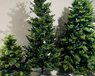 Christmas Trees purchased at Mulhalls