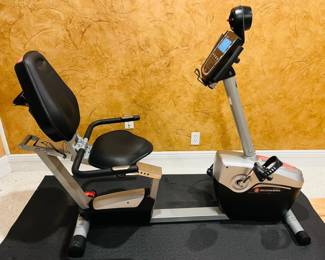 Schwinn Exercise/Recumbant bike - AVAILABLE FOR EARLY PURCHASE - $195 - PRICE DECREASE IF STILL AVAILABLE AT SALE - CALL OR TEXT FOR MORE INFORMATION - 507-458-2542