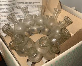 Vintage Plant Propagation