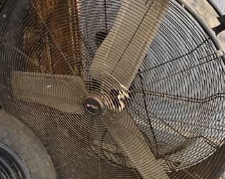 Large Fan
