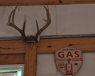 Deer Horns