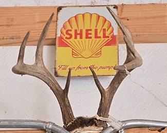 Shell Metal Sign - Deer Horns