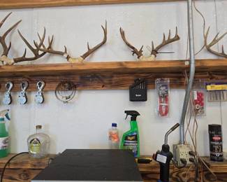 Deer Horns - Garage Misc