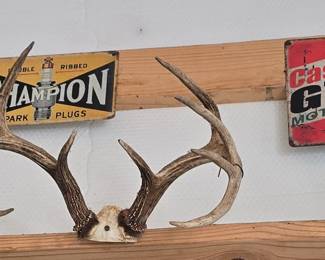 Champion - GTX Metal Sign - Deer Horns