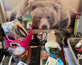 Office Supplies- Bear Picture