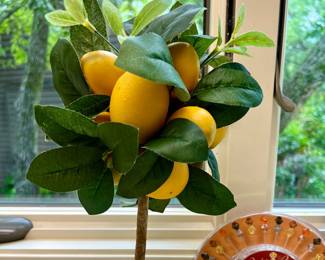 1 of 2 Small Lemon trees