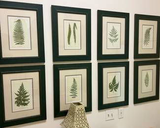 8 Botanical framed pictures