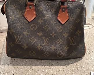 LV Purse