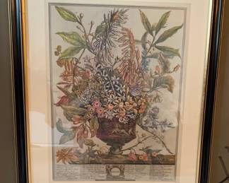 Decorator English Monthly botanical framed “prints”