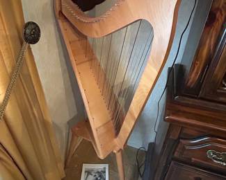 Folk harp
