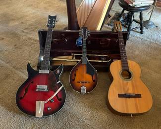 Guitars, trombone, bugle and even a mandolin.