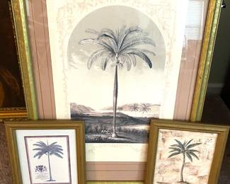 Palm tree picture