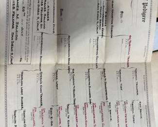 1946 American Kennel pedigree paperwork .