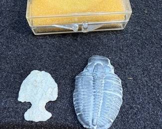 Arrowhead. Fossil.
