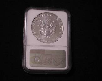 Silver Eagle Dollar 2021 - P MS 69 T-1 Early Release Emergency Production