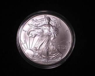 Silver Eagle Dollar 2005