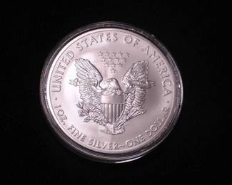 Silver Eagle Dollar 2013