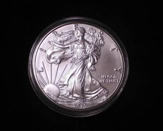 Silver Eagle Dollar 2020