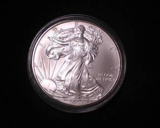 Silver Eagle Dollar 2009