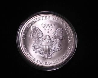 Silver Eagle Dollar 1995