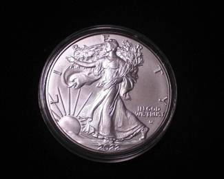 Silver Eagle Dollar 2022-W