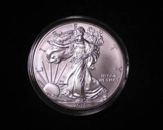 Silver Eagle Dollar 2015
