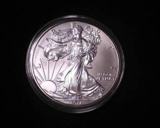 Silver Eagle Dollar 2011