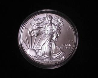 Silver Eagle Dollar 2015