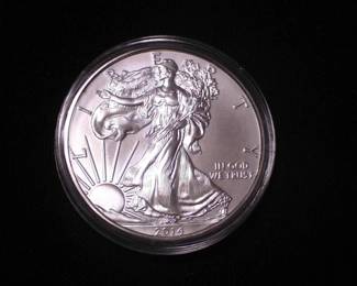 Silver Eagle Dollar 2014