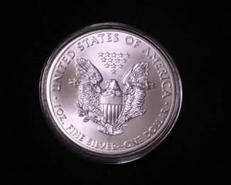 Silver Eagle Dollar 2015