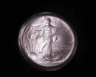 Silver Eagle Dollar 1993
