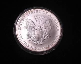 Silver Eagle Dollar 2004