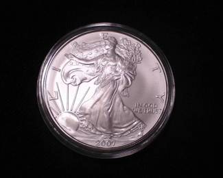 Silver Eagle Dollar 2007