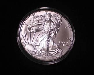 Silver Eagle Dollar 2017