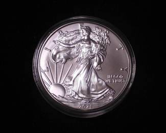 Silver Eagle Dollar 2021