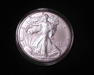 Silver Eagle Dollar 2022